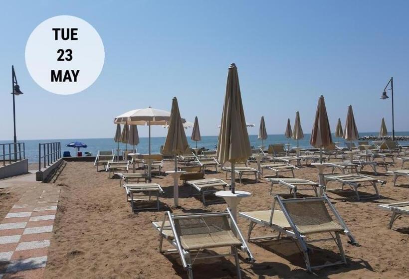 شقة غرفة واحدة, Residence Florida