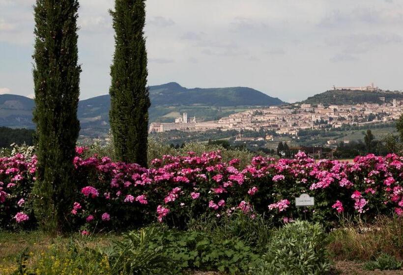 اتاق لوکس, Resort E Spa San Crispino