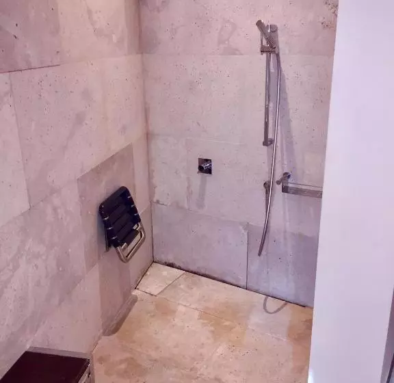 اتاق استاندارد برای معلولان, Parador De Alcala de Henares