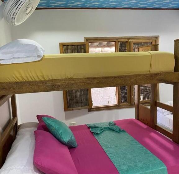 غرفة إقتصادية رباعية, Isla Los Erizos Ecohouse