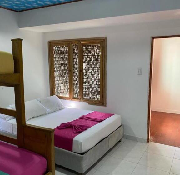 غرفة إقتصادية رباعية, Isla Los Erizos Ecohouse