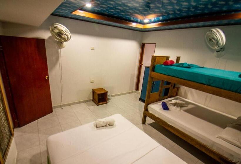 غرفة إقتصادية رباعية, Isla Los Erizos Ecohouse