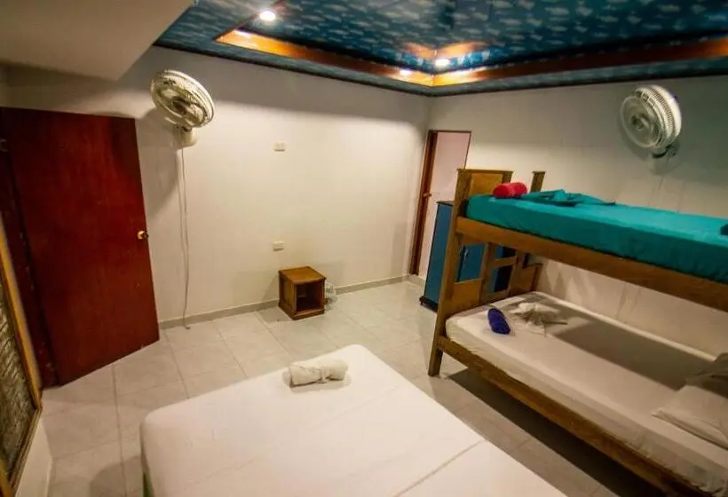 エコノミー4人部屋, Isla Los Erizos Ecohouse