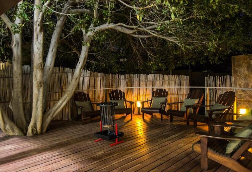 اتاق استاندارد یک نفره, Aps Guesthouse