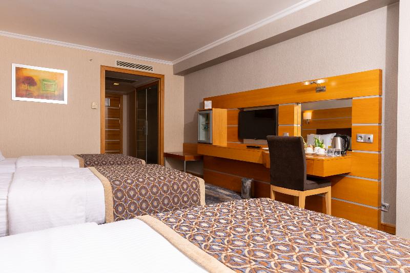 اتاق استاندارد سه نفره, Ankara Plaza