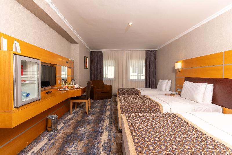 اتاق استاندارد سه نفره, Ankara Plaza