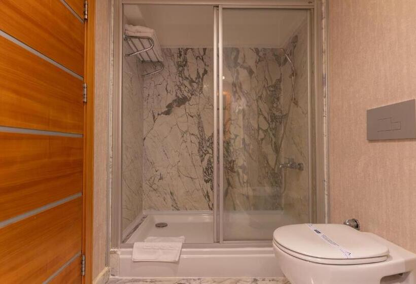 اتاق سوپریور یک تخته, Ankara Plaza