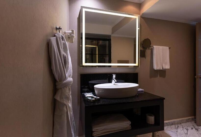 اتاق لوکس, Ankara Plaza