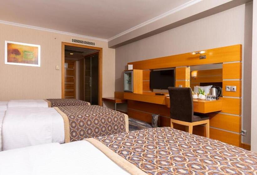 اتاق استاندارد سه نفره, Ankara Plaza