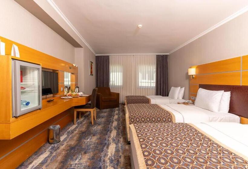 اتاق استاندارد سه نفره, Ankara Plaza