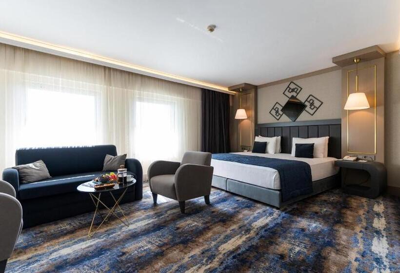 اتاق استاندارد یک نفره, Ankara Plaza