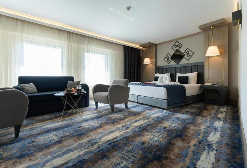 اتاق استاندارد یک نفره, Ankara Plaza