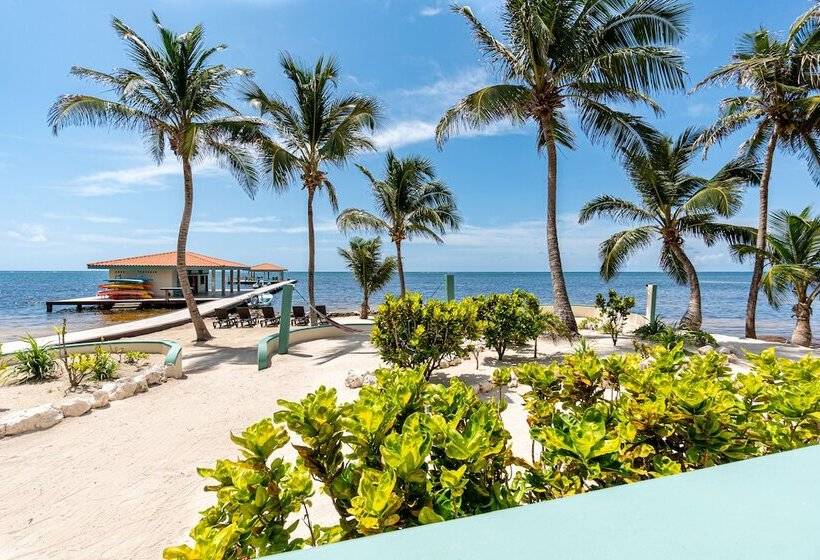 바다 전망 스위트, Belizean Shores Resort