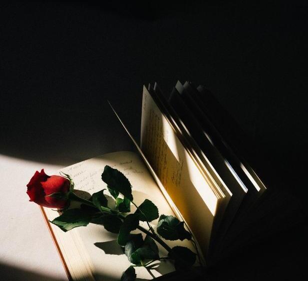 수피리어 룸, Murano Palace