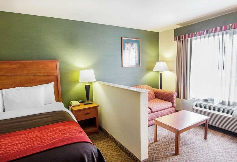 套房, Comfort Inn & Suites Salem