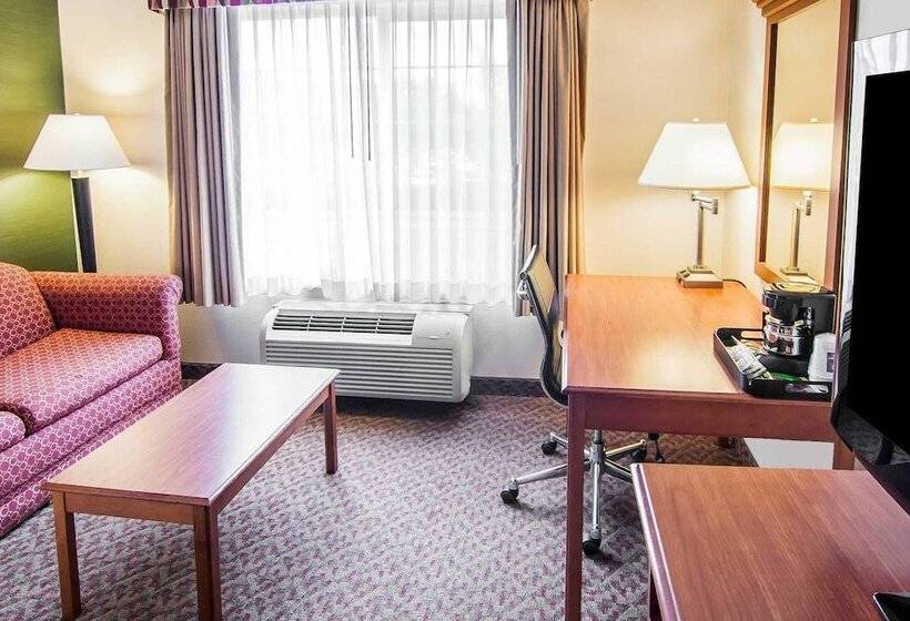 套房, Comfort Inn & Suites Salem