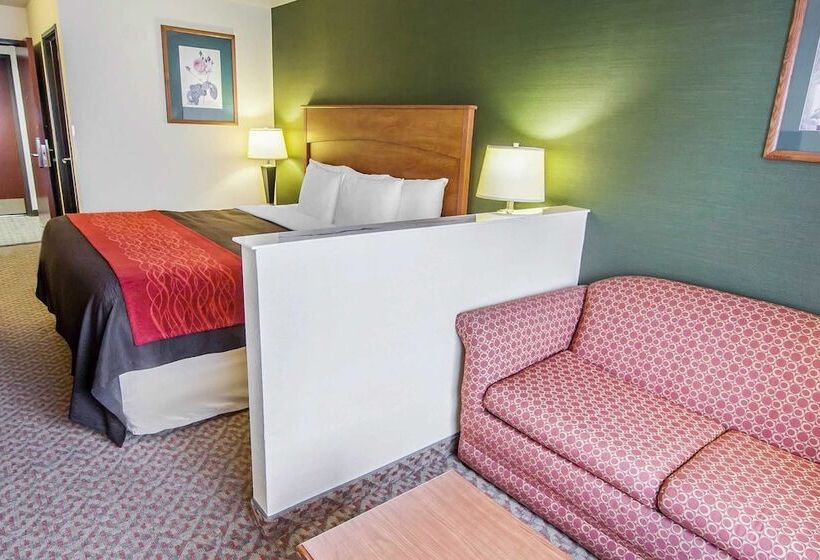 套房, Comfort Inn & Suites Salem