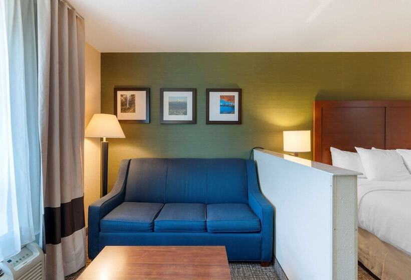 套房, Comfort Inn & Suites Salem