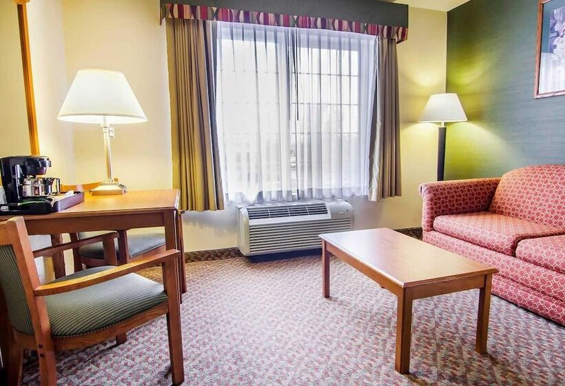 스위트, Comfort Inn & Suites Salem