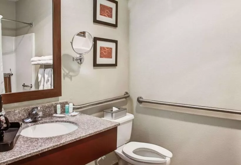سوییت, Comfort Suites Lombard   Addison