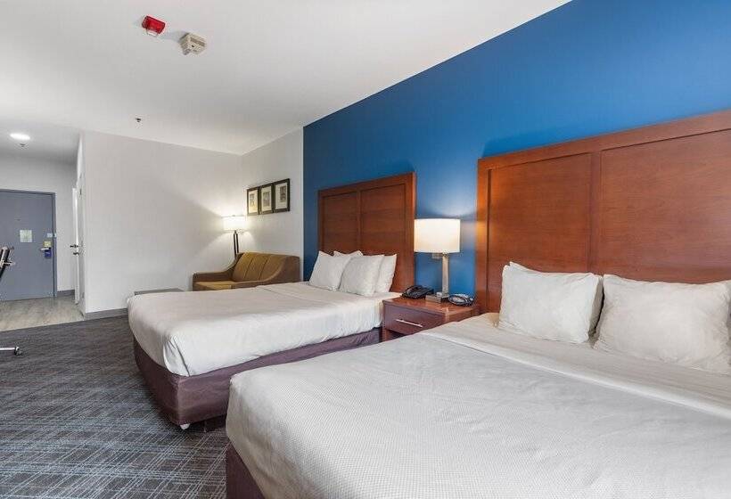 סוויטה, Comfort Suites Lombard Addison