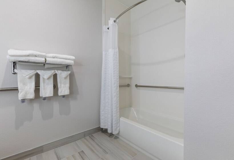 适合残疾人士使用的套间, Comfort Suites Lombard   Addison