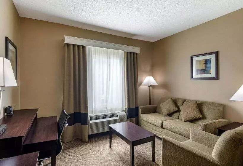 Sviitti, Comfort Suites The Colony Plano West