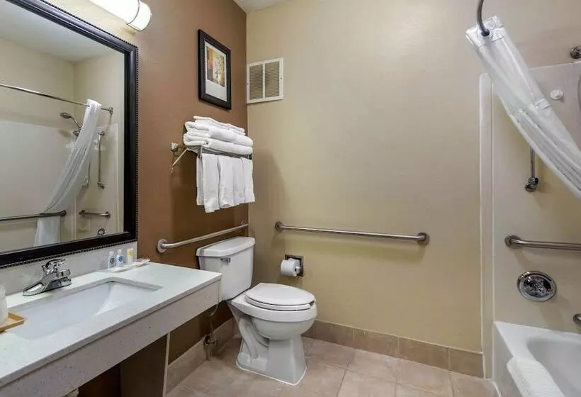 Sviitti Liikuntarajoitteisille, Comfort Suites The Colony Plano West