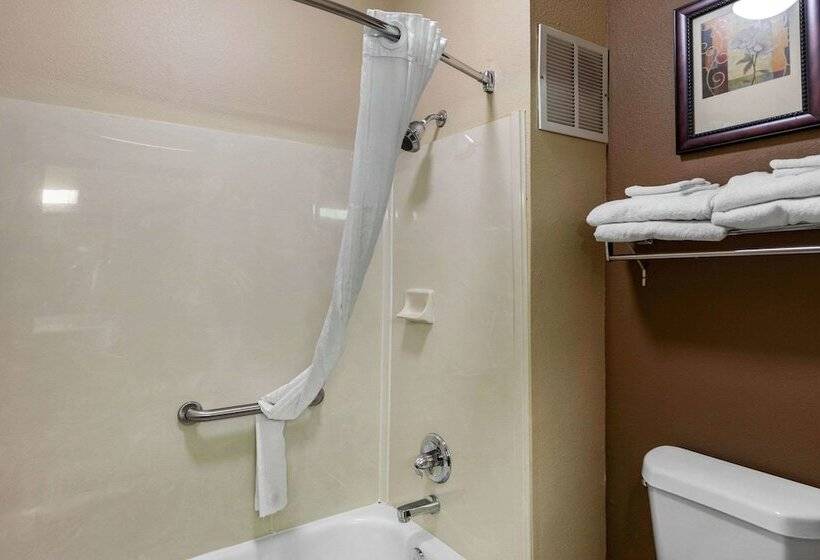 身障者適用スイートルーム, Comfort Suites The Colony  Plano West