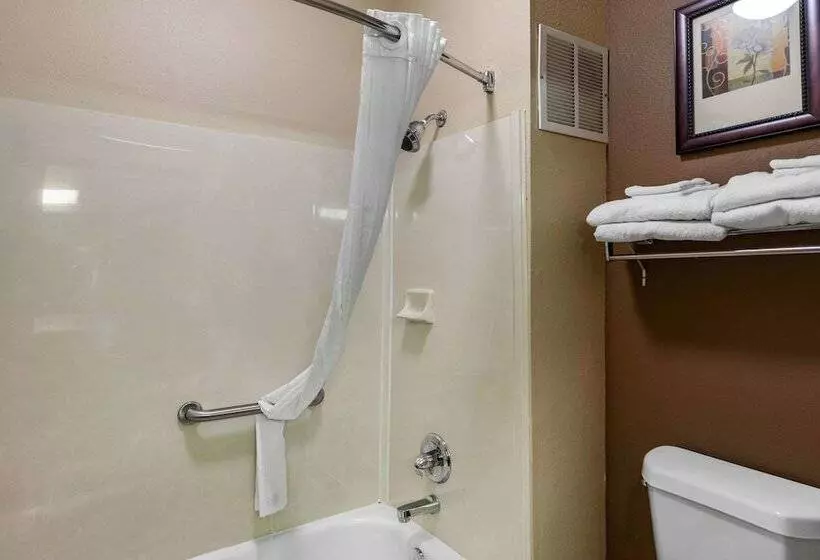 Sviitti Liikuntarajoitteisille, Comfort Suites The Colony Plano West