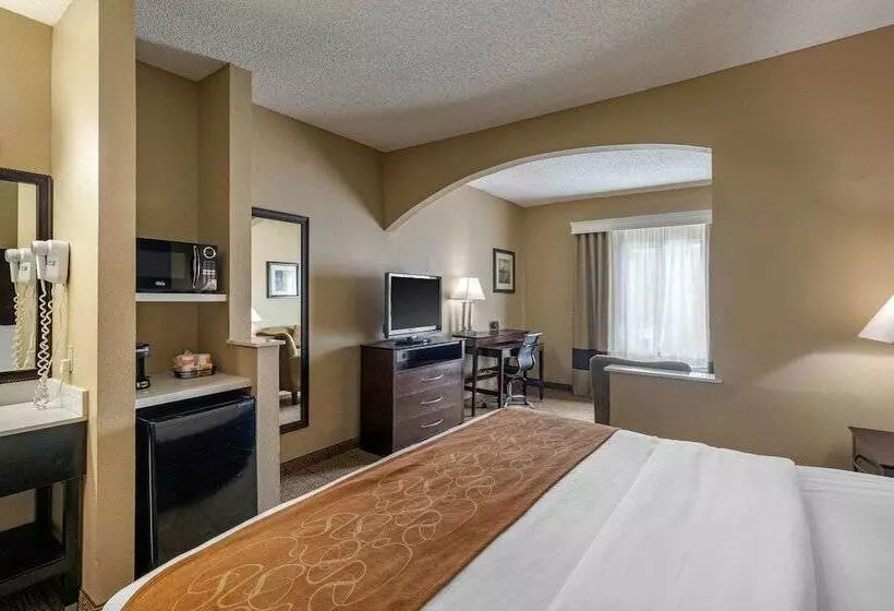 Sviitti Liikuntarajoitteisille, Comfort Suites The Colony Plano West