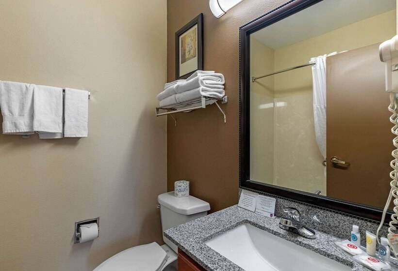 身障者適用スイートルーム, Comfort Suites The Colony  Plano West