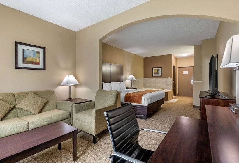 身障者適用スイートルーム, Comfort Suites The Colony  Plano West