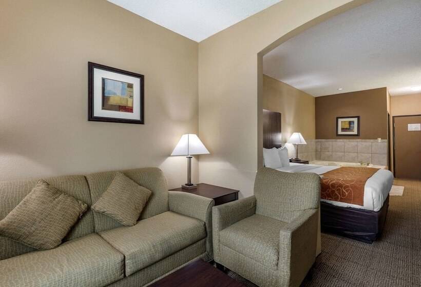 Люкс Адаптированный для Инвалидов, Comfort Suites The Colony  Plano West