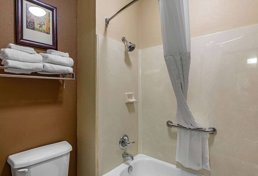 身障者適用スイートルーム, Comfort Suites The Colony  Plano West