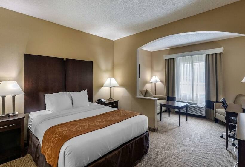 身障者適用スイートルーム, Comfort Suites The Colony  Plano West