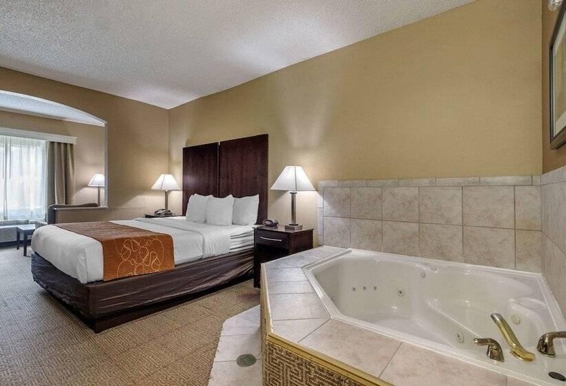 Люкс Адаптированный для Инвалидов, Comfort Suites The Colony  Plano West