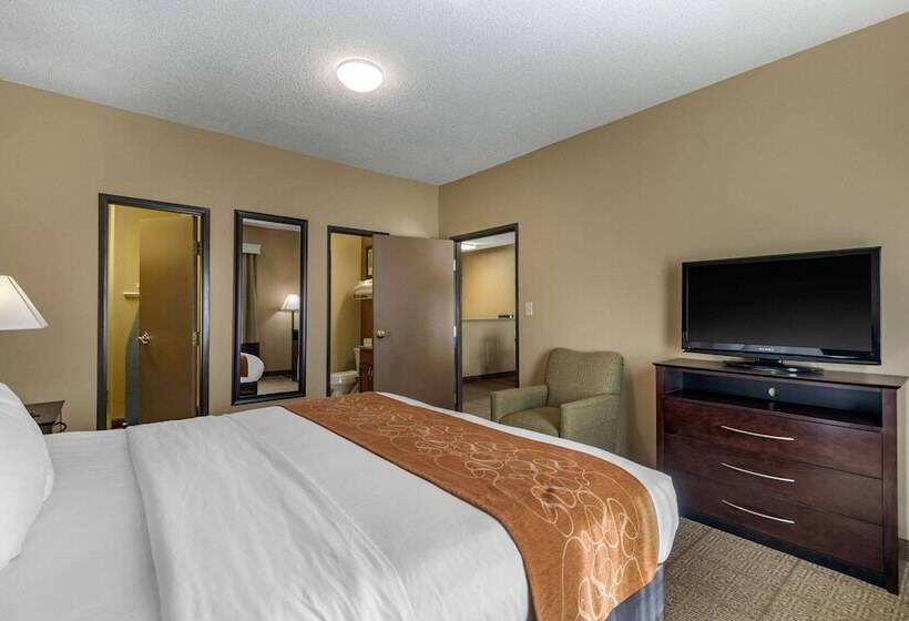 スイート, Comfort Suites The Colony  Plano West
