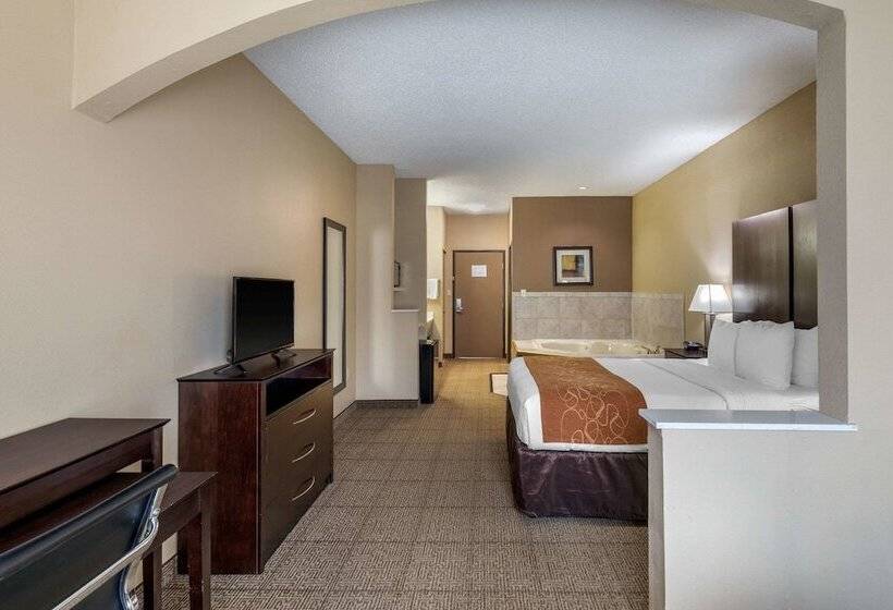 スイート, Comfort Suites The Colony  Plano West