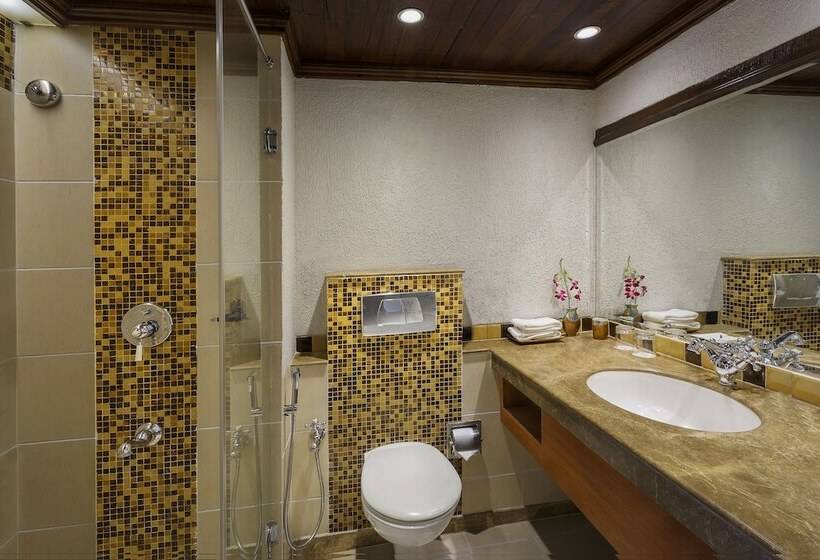 Camera Superiore, Lazy Lagoon, Baga A Lemon Tree Resort, Goa