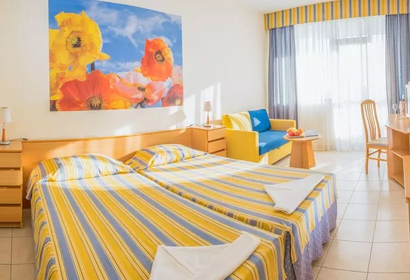 スタンダードルーム, Lebed