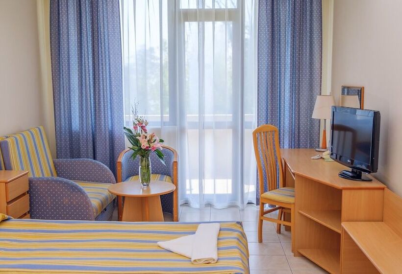 스탠다드 룸, Lebed