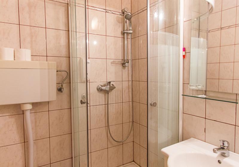 Номер Стандарт, Omorika