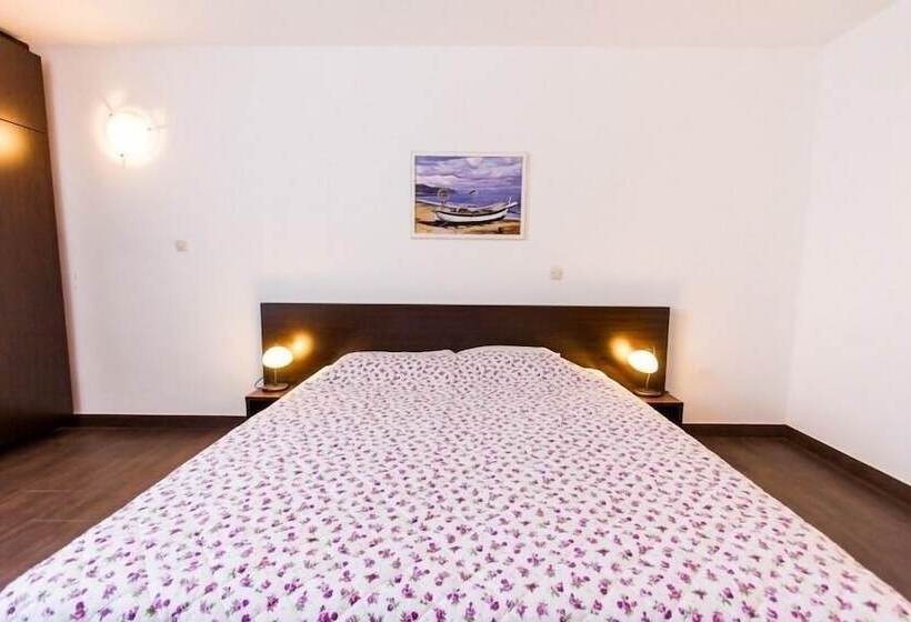 Номер Стандарт, Omorika