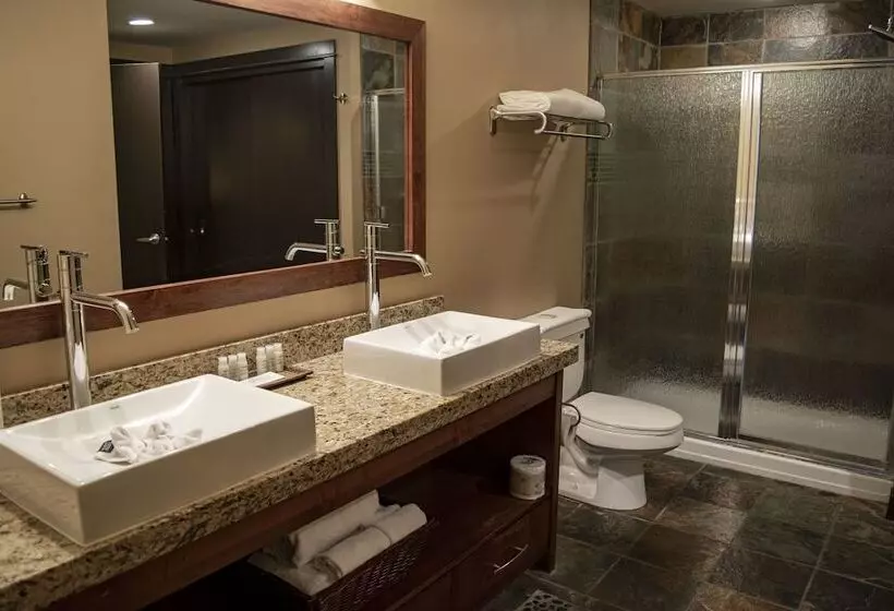 سوئیت 2 خوابه, Silver Creek Lodge