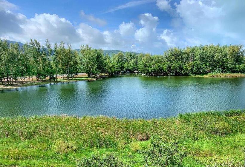 1 Bedroom Apartment Lake View, Cassia Residences By Laguna Phuket