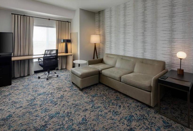 إستوديو قياسى سرير كينج, Residence Inn Waco South