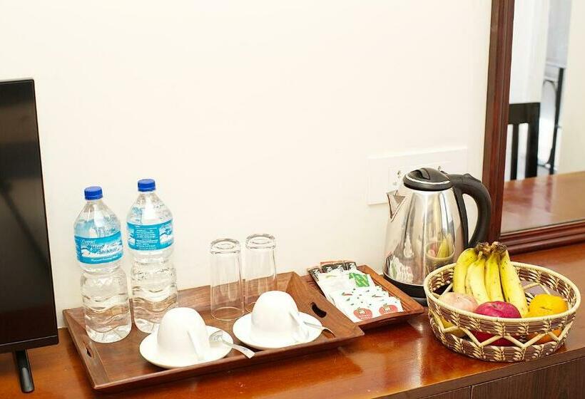 اتاق لوکس, Satkar Hotel And Spa