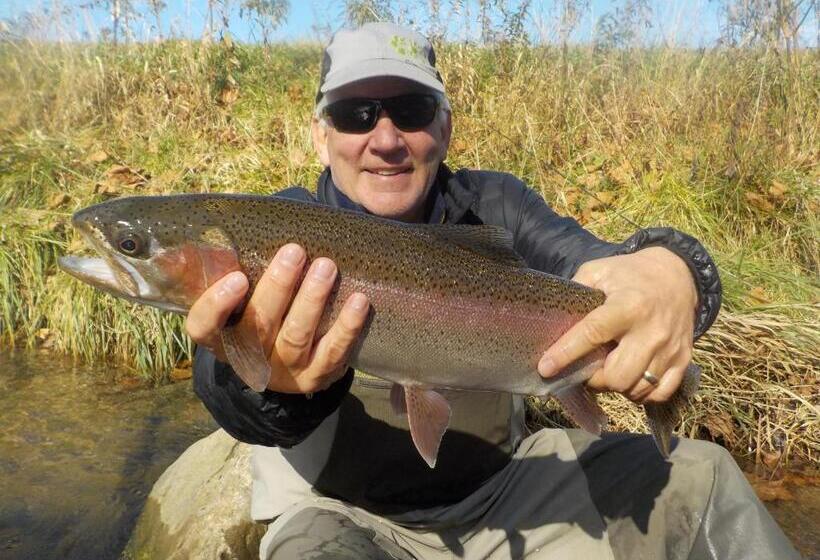 デラックスルーム, A B&b At Llewellyn Lodge