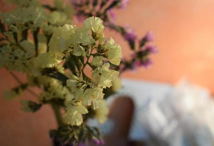 Номер Стандарт Индивидуальный, Hostel Il Tetto